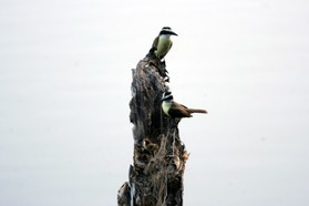 Images_Belize_2011_301