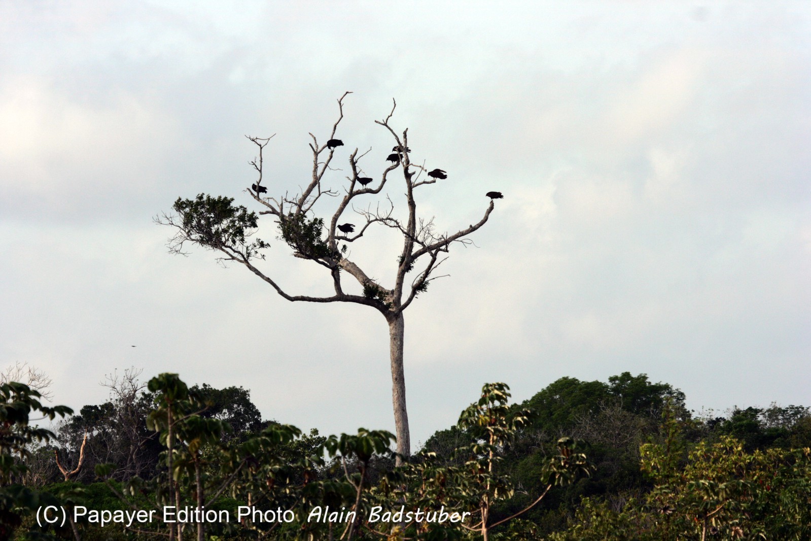 Images_Belize_2011_011
