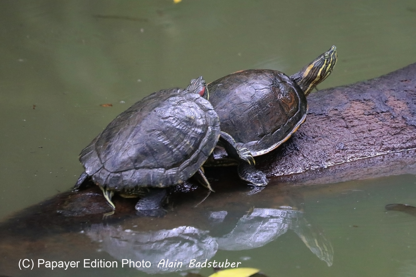 Parque Natural Metropolitano