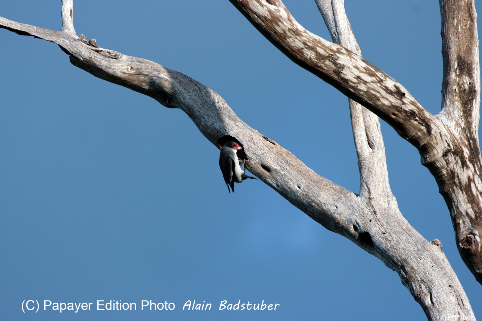 Images_Belize_2011_341