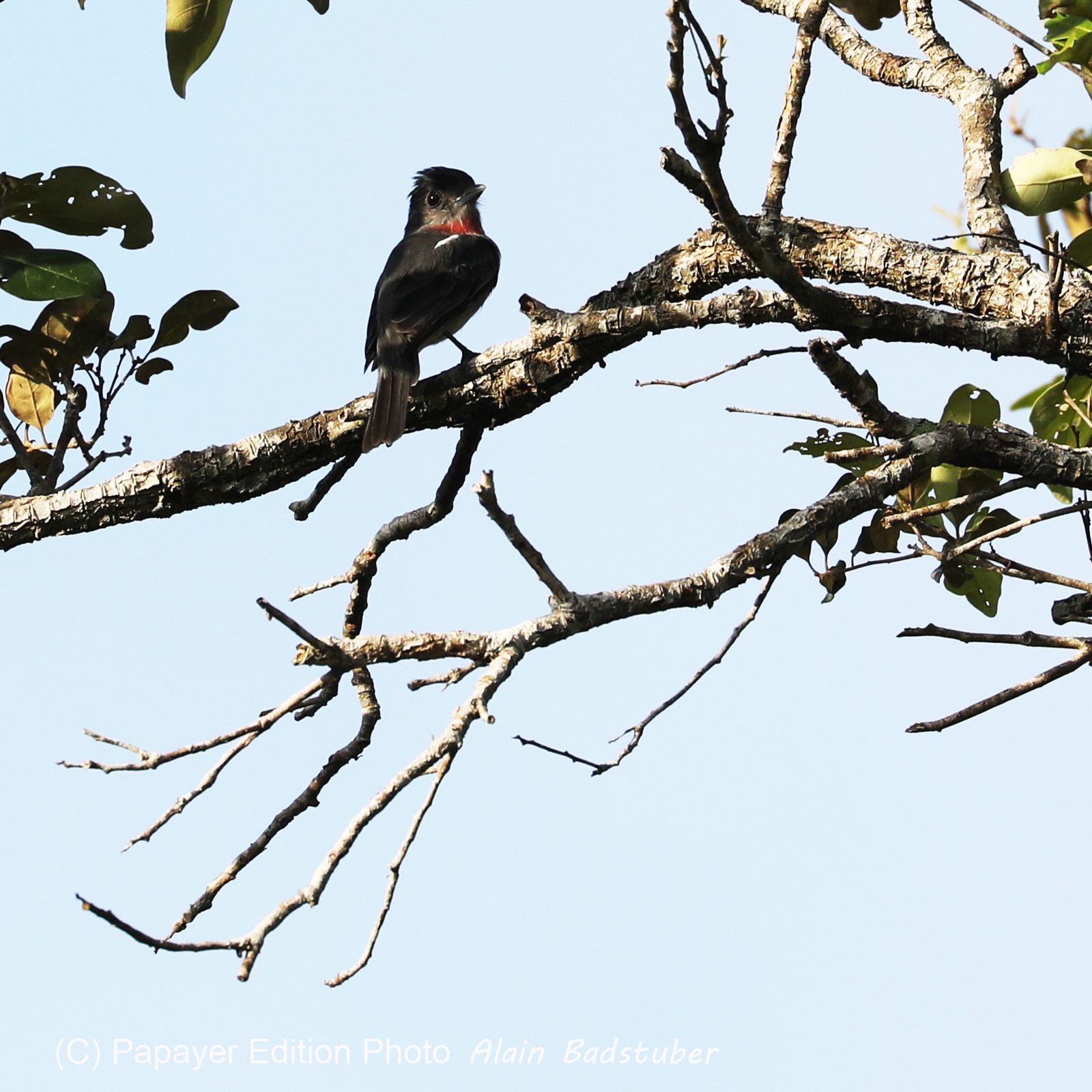 Premier séjour à Crooked Tree , au Bélize en octobre 2021