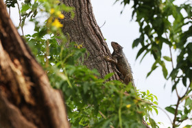 Punta Culebra Nature Center