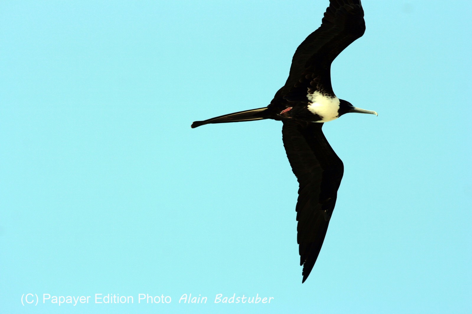 Images_Belize_2011_428