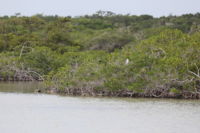 Deuxième séjour à Sarteneja, Bélize, Novembre - Décembre 2021