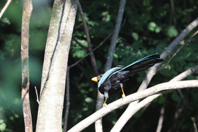 Deuxième séjour à Sarteneja, Bélize, Novembre - Décembre 2021