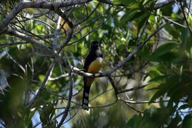 Images_Belize_2011_047