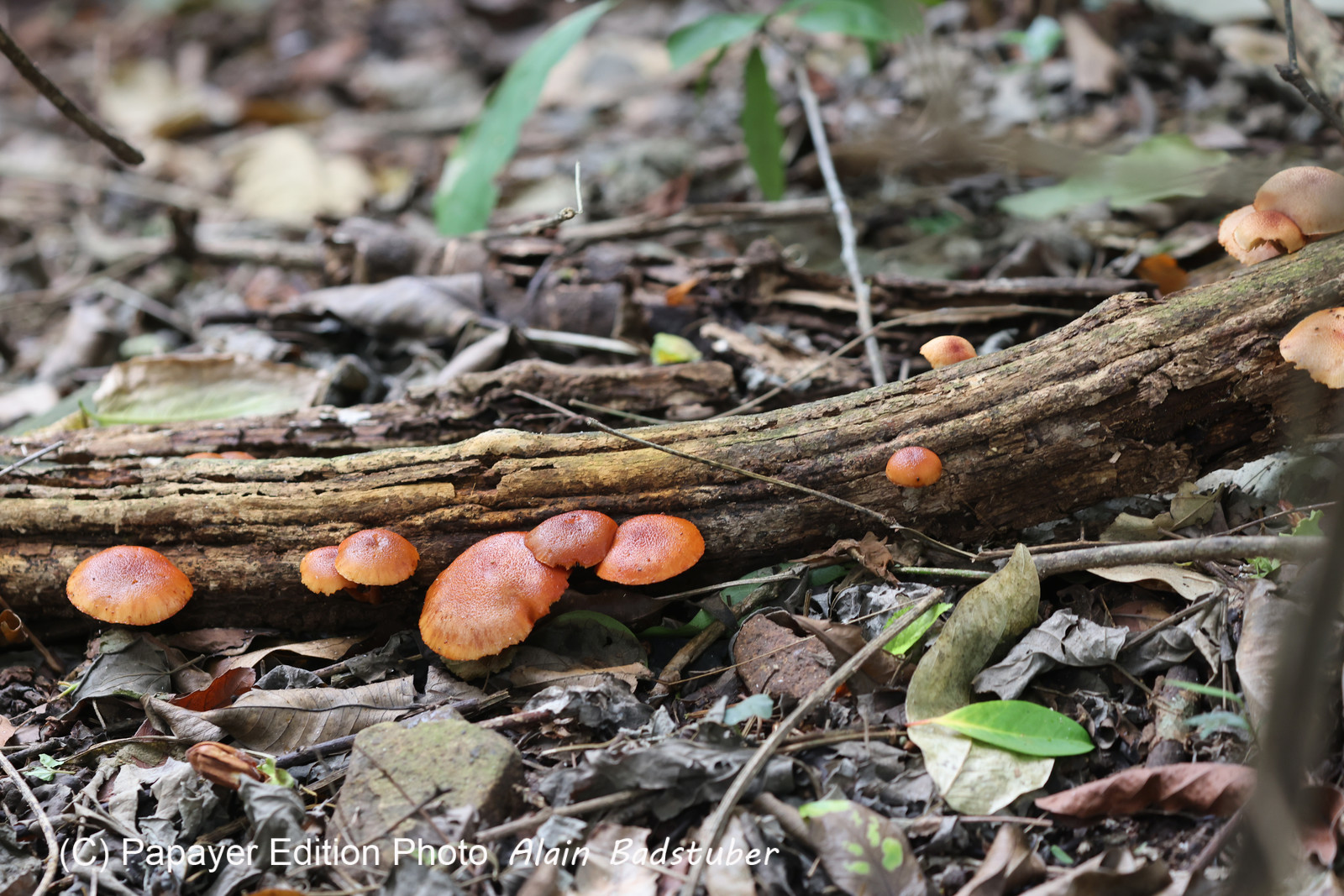 Punta Culebra Nature Center