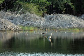 Images_Belize_2011_296
