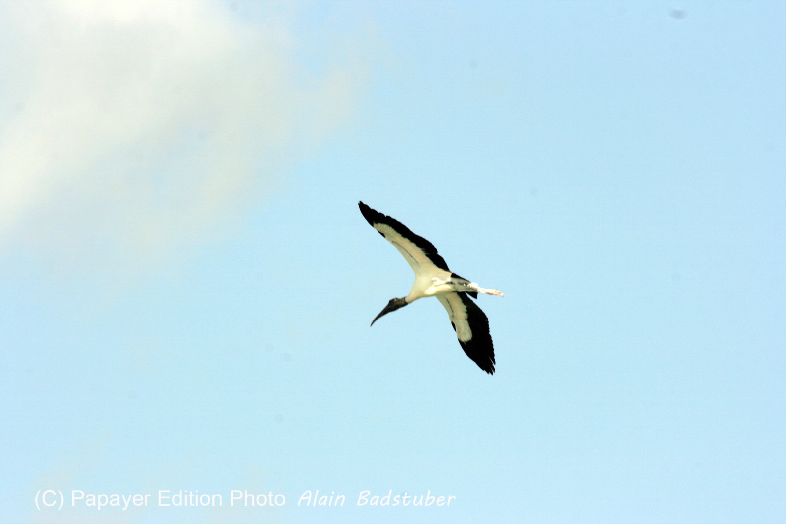 Images_Belize_2011_098