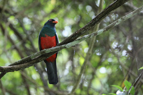Parque Natural Metropolitano