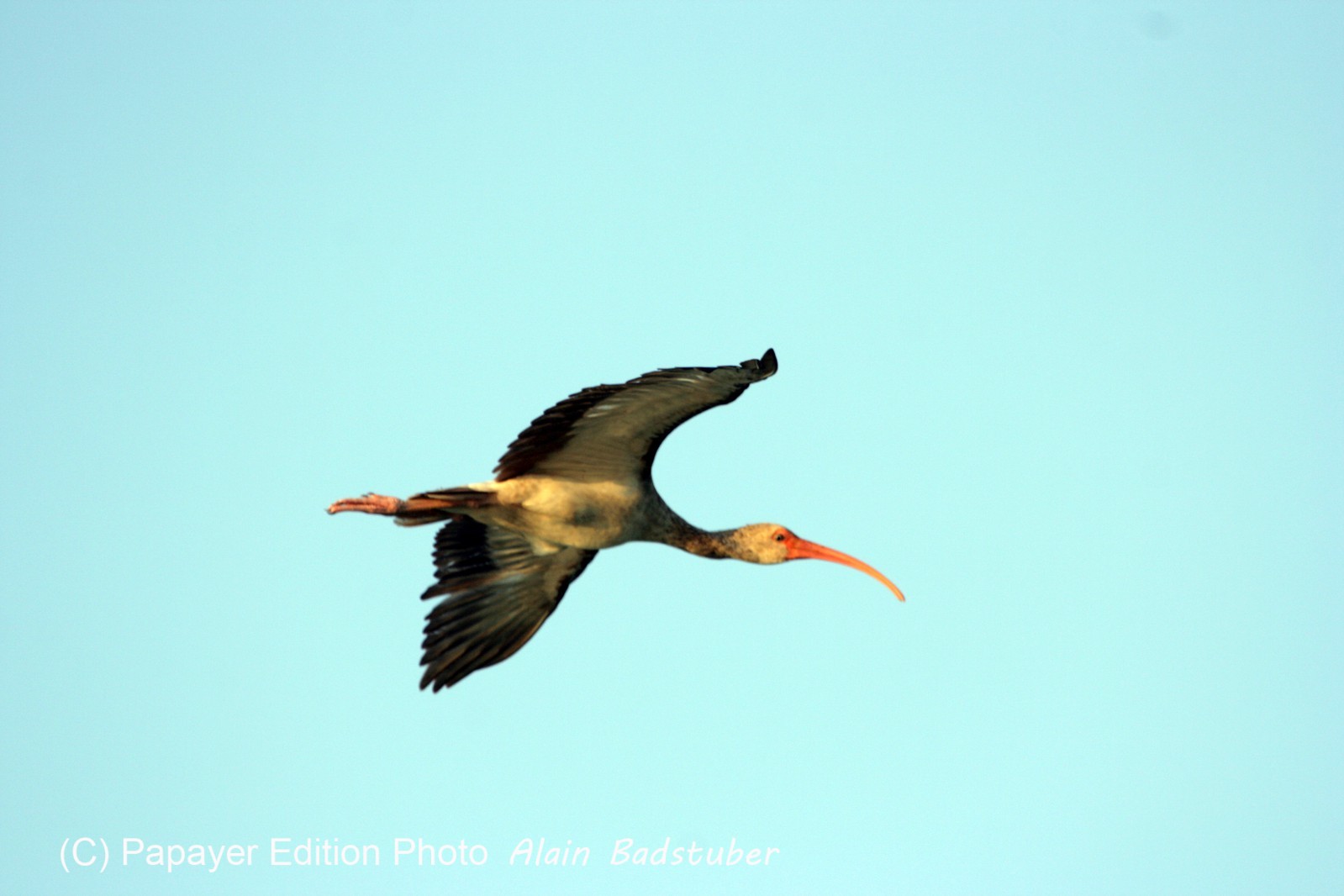 Images_Belize_2011_220