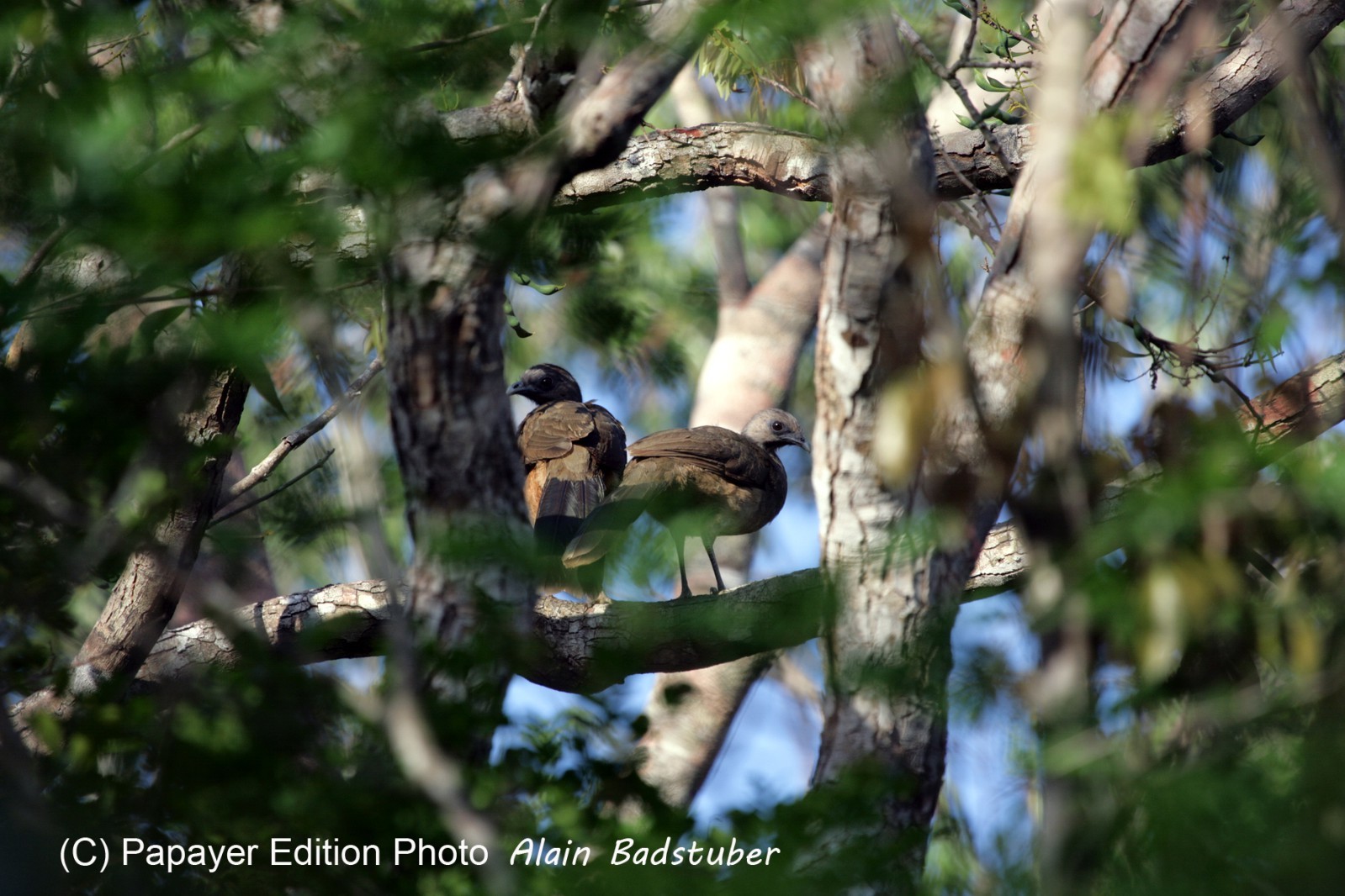 Images_Belize_2011_303