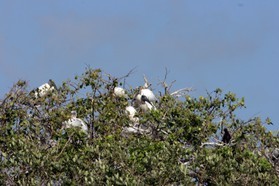 Images_Belize_2011_097