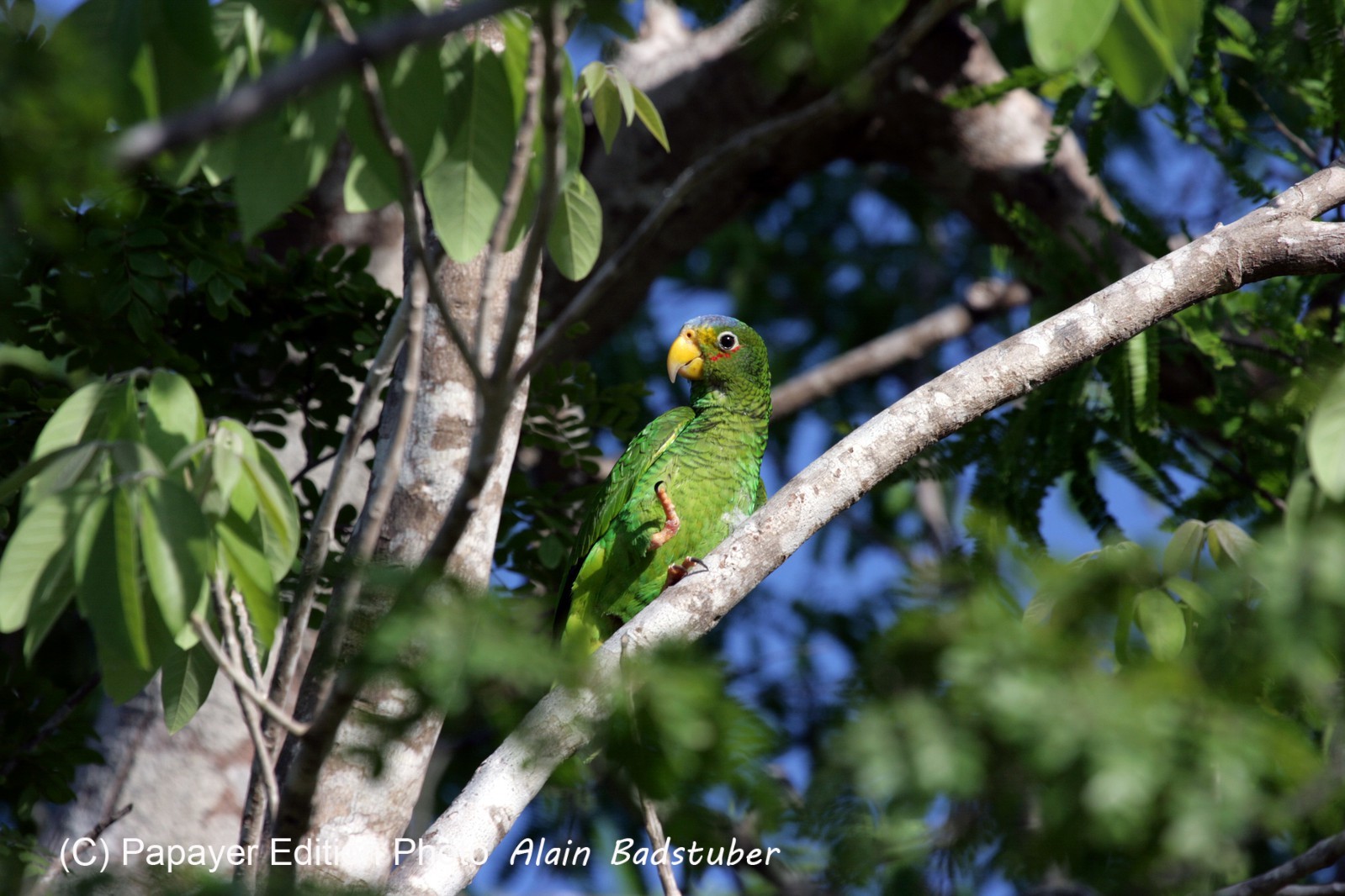Images_Belize_2011_023