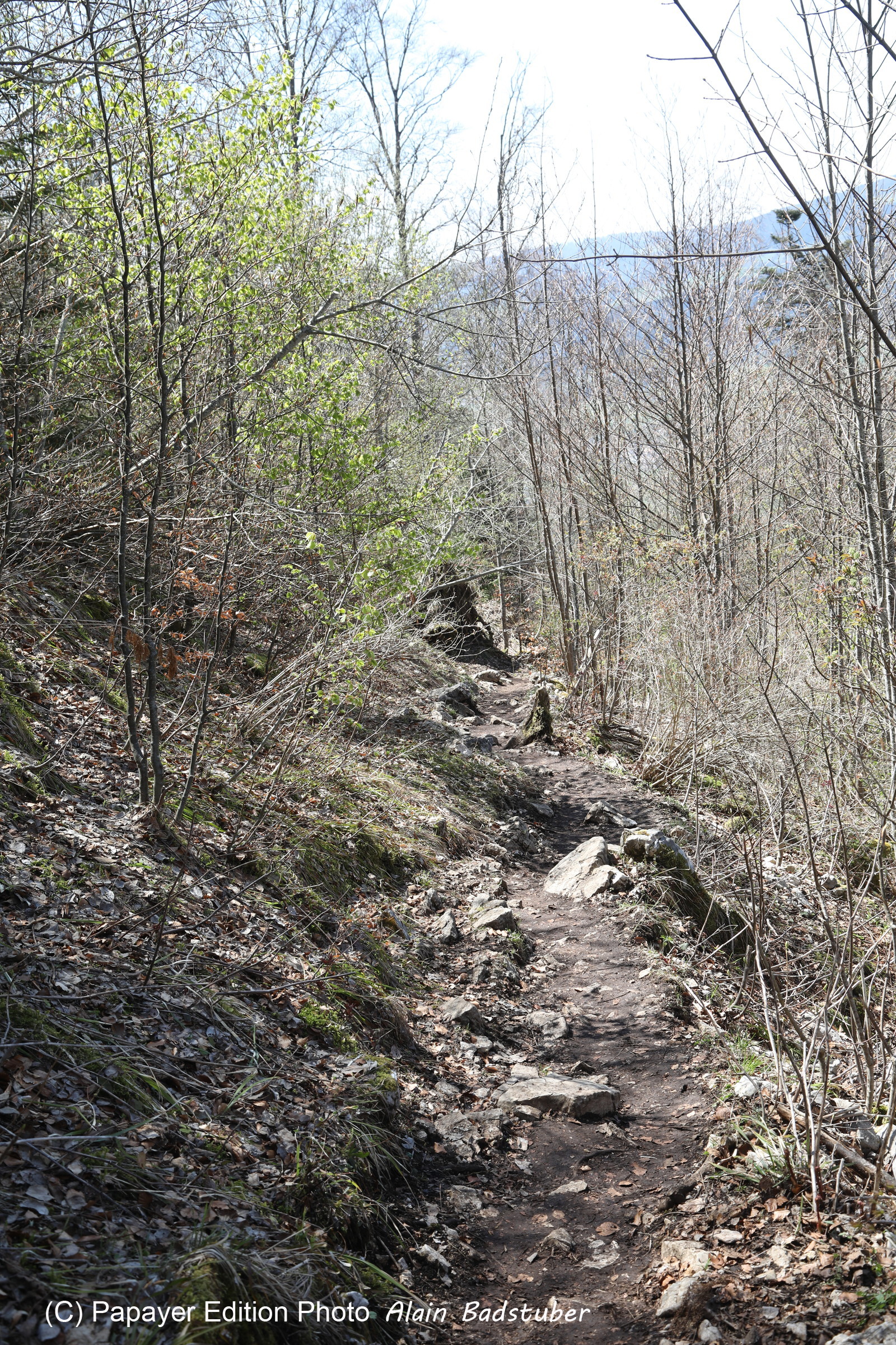 Ma balade du premier mai 2019