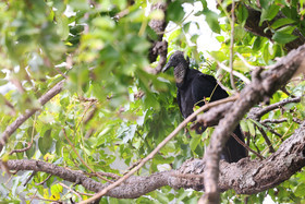 Punta Culebra Nature Center