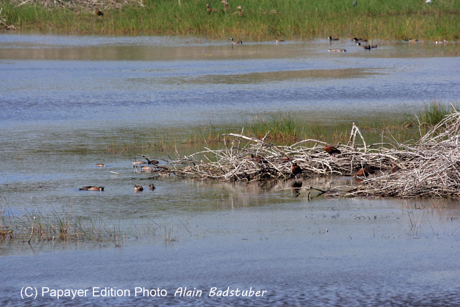 Images_Belize_2011_263