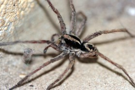 Images_Belize_2011_369