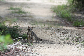 Deuxième séjour à Sarteneja, Bélize, Novembre - Décembre 2021