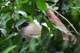 Punta Culebra Nature Center