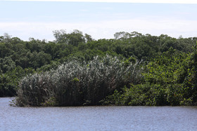 Hopkins, Octobre-Novembre 2021