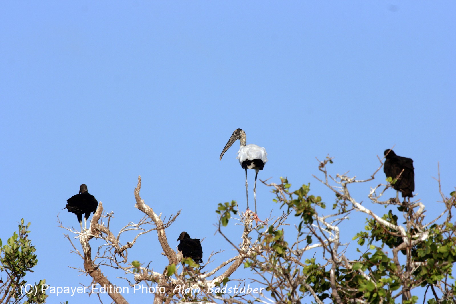 Images_Belize_2011_218