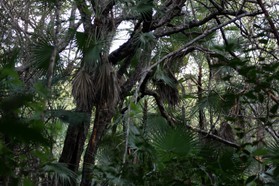 Images_Belize_2011_271