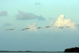 Images_Belize_2011_224