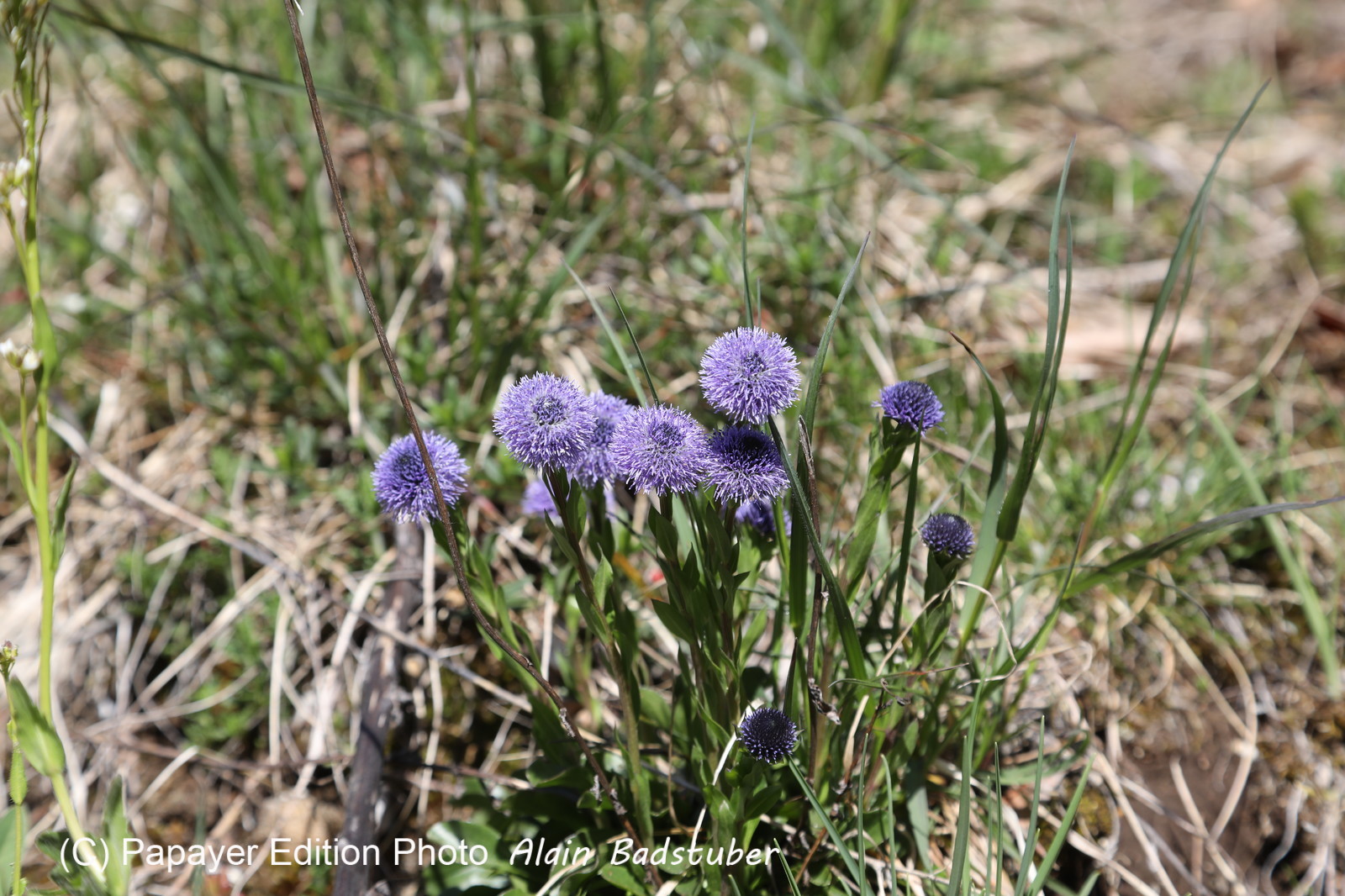 Ma balade du premier mai 2019