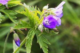 Encore une journée non favorable à la pratique de WingFoil