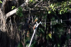 Images_Belize_2011_036