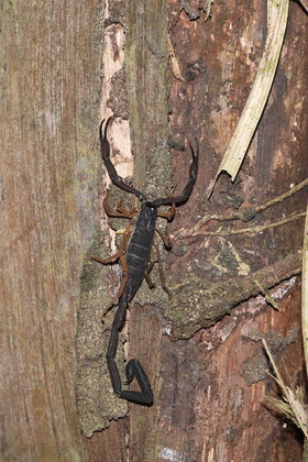 Hickatee Cottages, 4 jours de photo