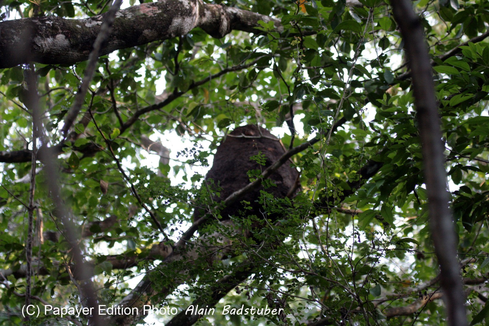 Images_Belize_2011_272