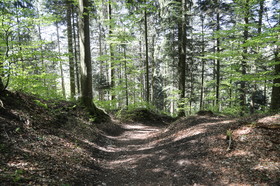 Ma balade du premier mai 2019