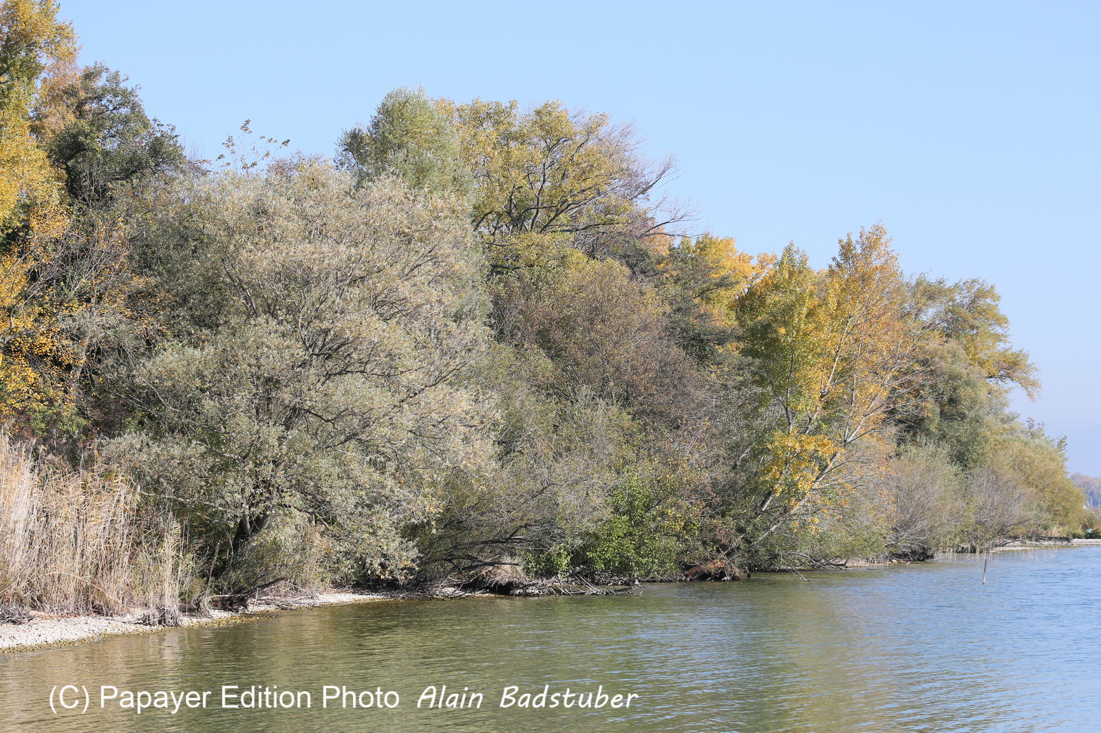 Ile aux oiseaux à Vaumarcus
