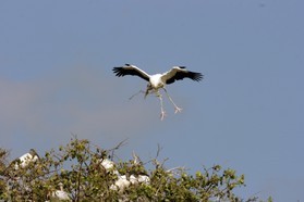 Images_Belize_2011_094