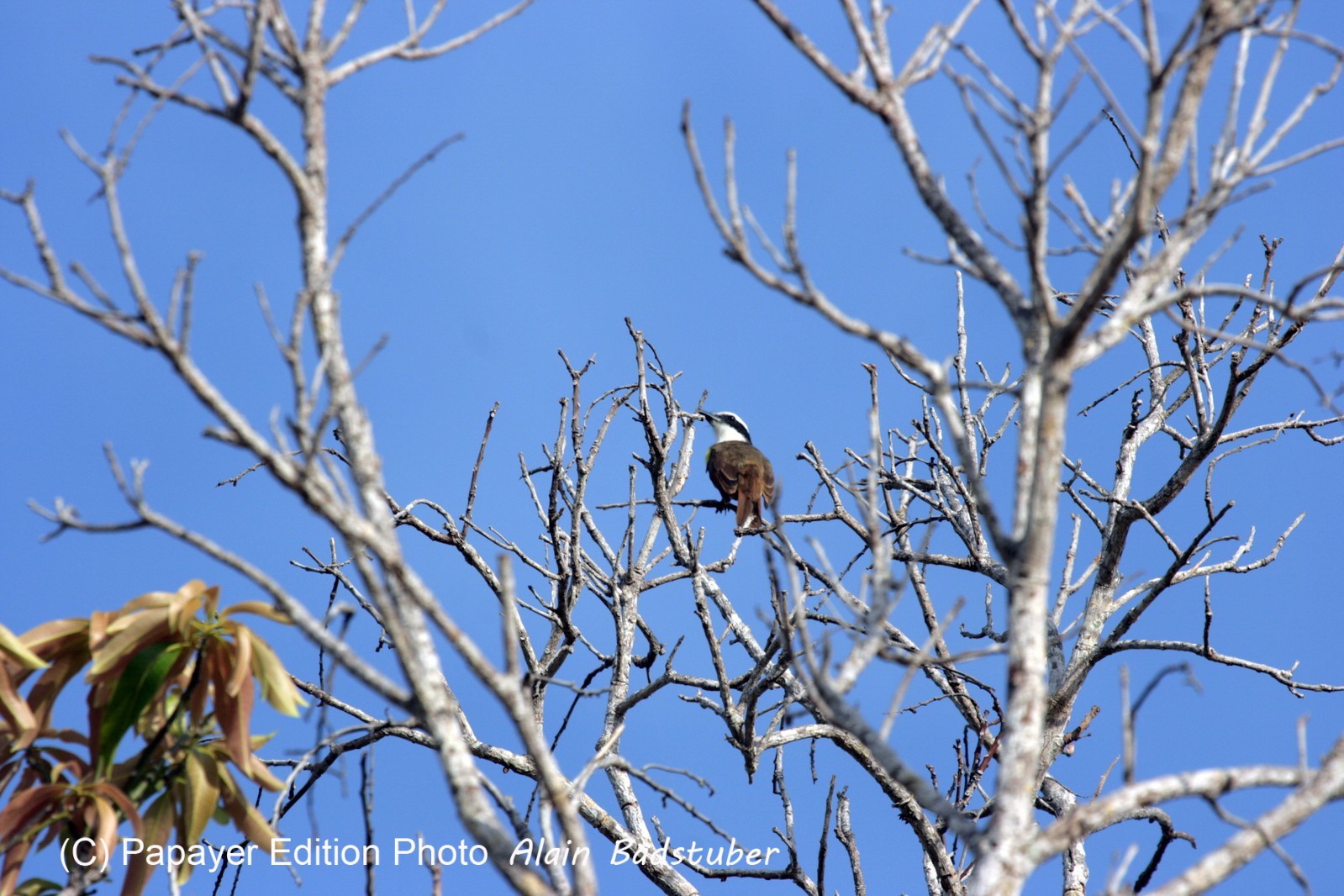 Images_Belize_2011_075