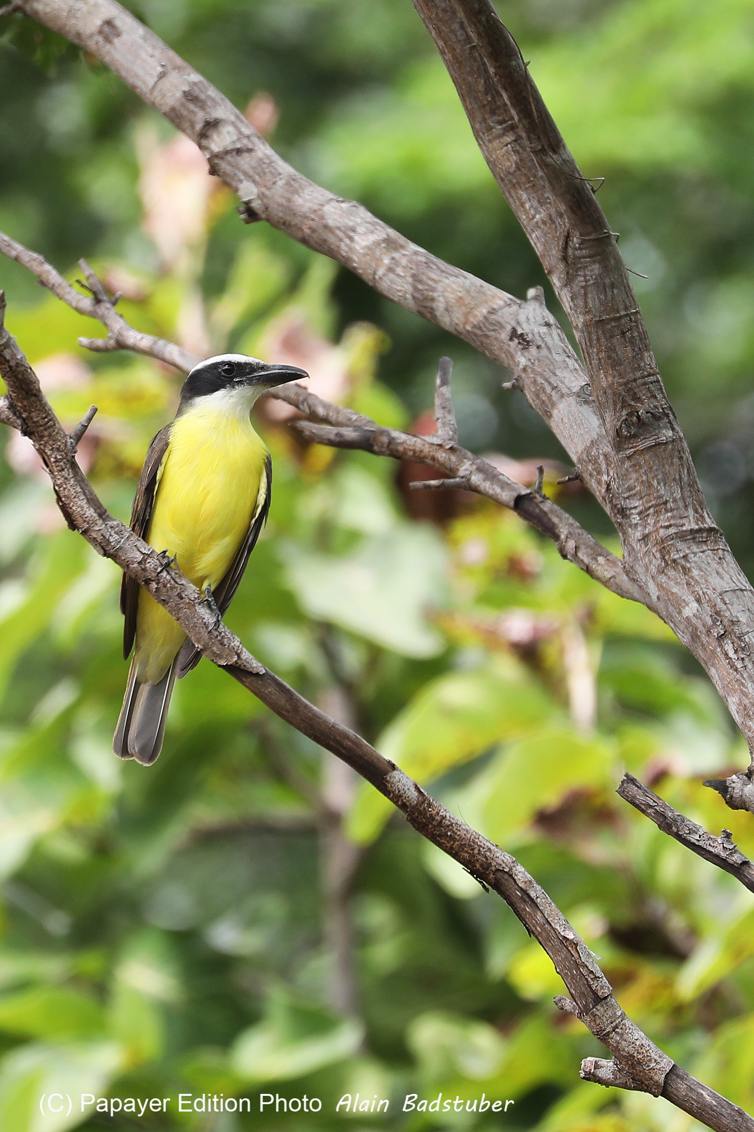 Deuxième séjour à Sarteneja, Bélize, Novembre - Décembre 2021