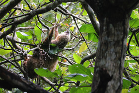 Parque Natural Metropolitano