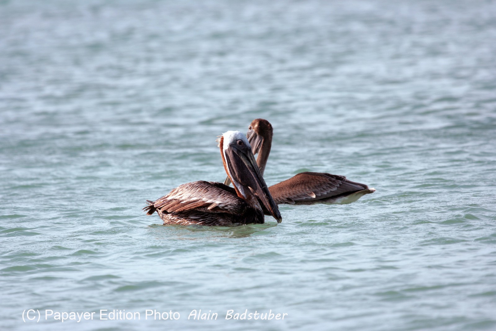Images_Belize_2011_437