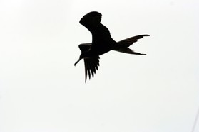 Images_Belize_2011_434