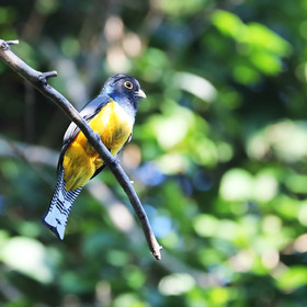 Deuxième séjour à Sarteneja, Bélize, Novembre - Décembre 2021