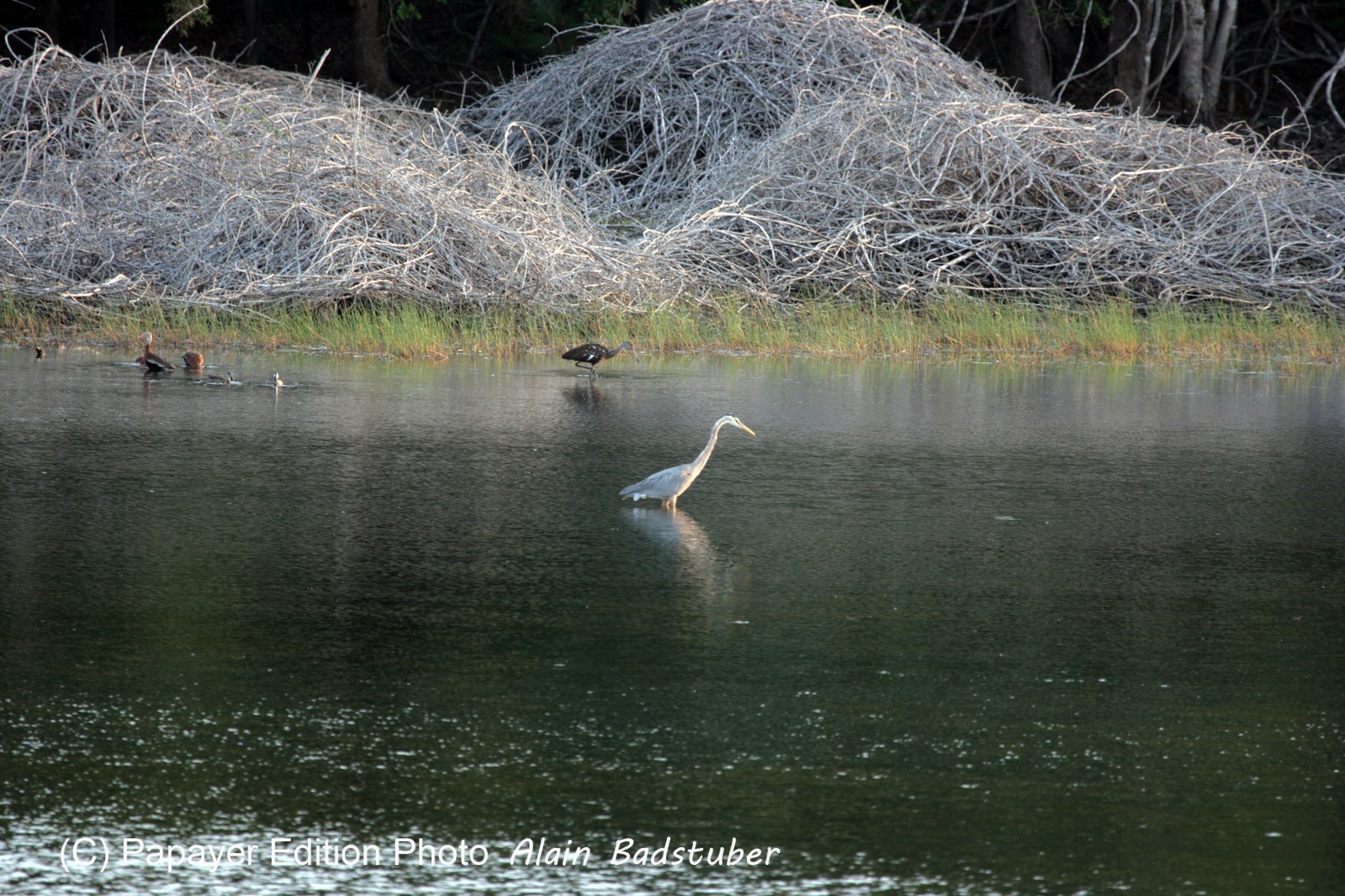 Images_Belize_2011_298