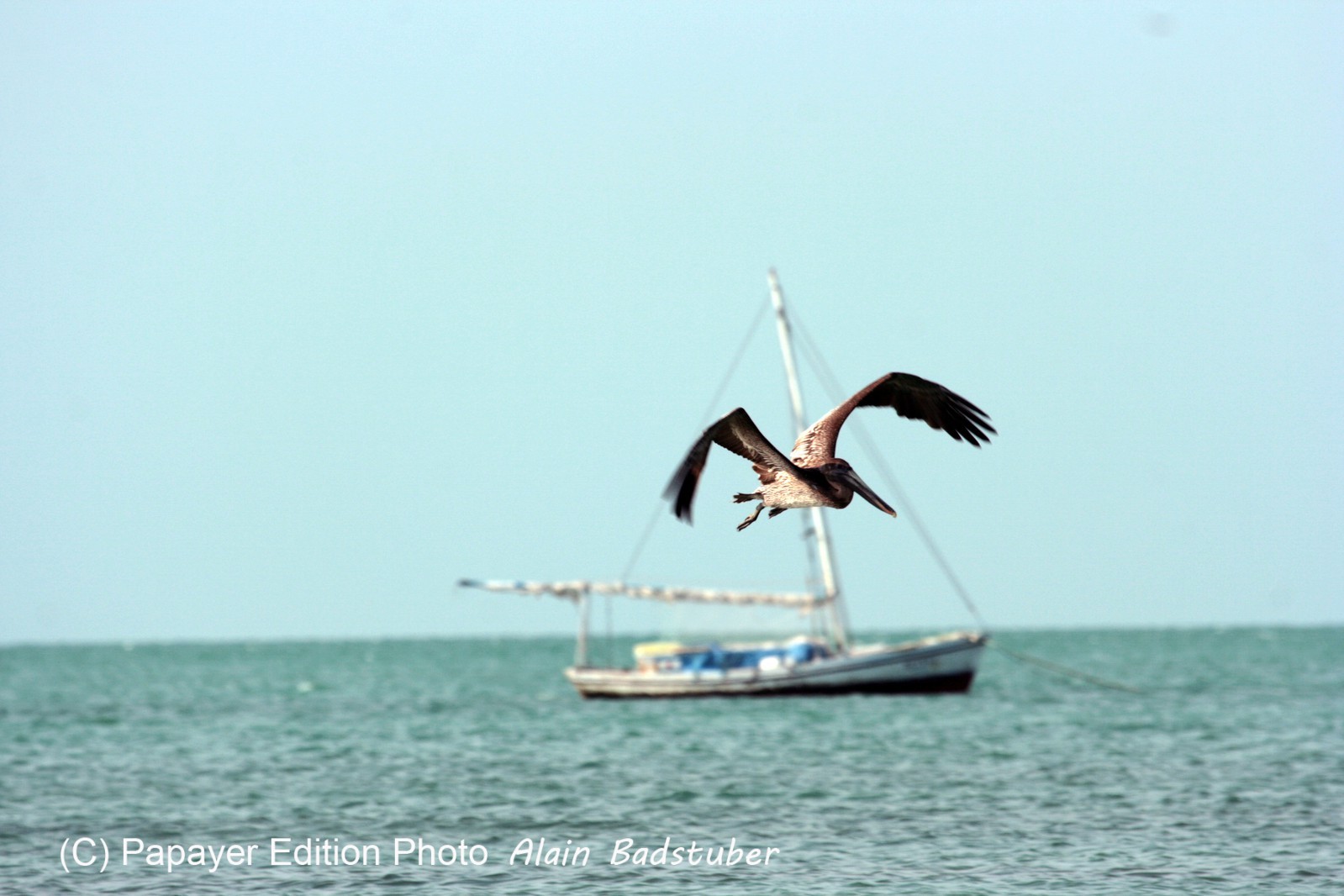 Images_Belize_2011_444