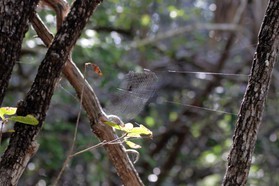 Images_Belize_2011_042