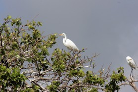 Images_Belize_2011_119