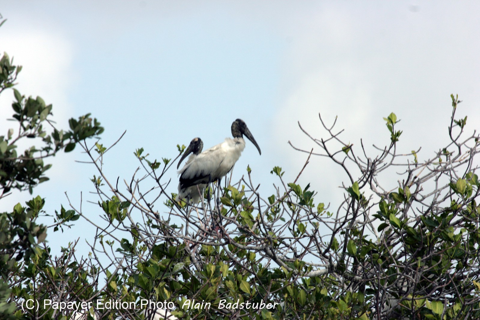 Images_Belize_2011_105