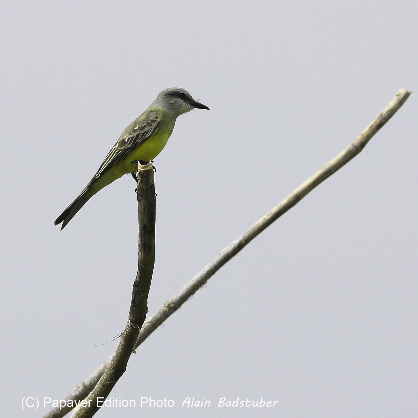 Deuxième séjour à Sarteneja, Bélize, Novembre - Décembre 2021
