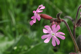 Encore une journée non favorable à la pratique de WingFoil