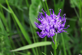 Encore une journée non favorable à la pratique de WingFoil